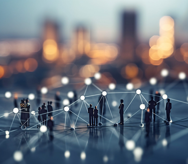 Network of connected professionals